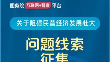 大鸡巴插洞视频国务院“互联网+督查”平台公开征集阻碍民营经济发展壮大问题线索